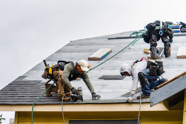 Professional Roofing technician working in Jim Falls, WI